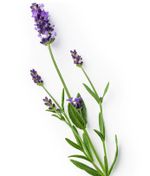 Keune So Pure Маска-скраб Обновляющая Exfoliating Treatment 100 мл