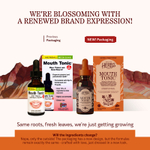 Herbs Etc., Mouth Tonic™, 30 мл (1 жидк. унция)