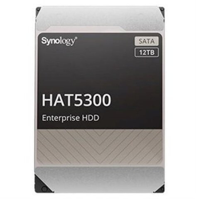 Жесткий диск Synology 12Tb HAT5300-12T