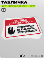 Табличка для частной территории "Частная собственность", на дом, для участка, организаций, предупреждающая, 40х30 см, Silver Plane x Айдентика Технолоджи