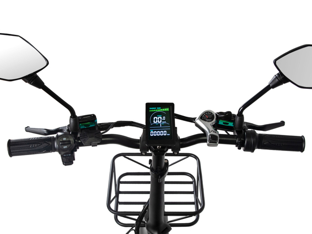 Электрофэтбайк Minako F10 (литые диски)