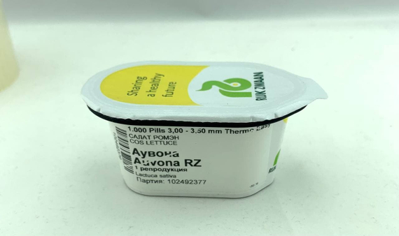 Аувона семена салата ромэн (Rijk Zwaan / Райк Цваан) упаковка 1000 шт. – фото 13