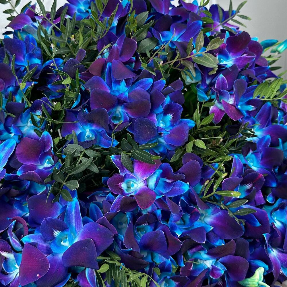 Букет из синих орхидей Космос в руках XXL. Букет 7424