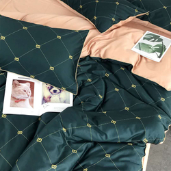 Постельное белье ЕВРО (двуспалка) Египетский Хлопок Зеленый на персиковом