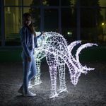 Световая фигура оленя «Рудольф»