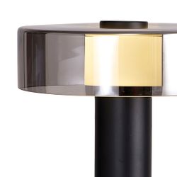 8427 Настольная лампа GIN