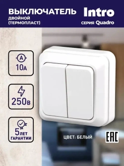 Выключатель Intro Quadro 2-104-01 двухклавишный 10А-250В IP20 ОУ белый