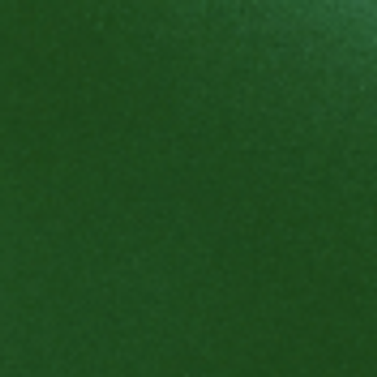 Термопленка Светоотражающая Полиуретановая Ю.Корея (зеленый)