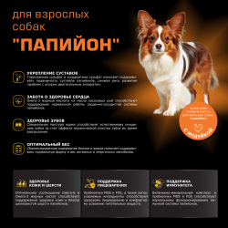 Корм сухой для взрослых собак породы Папийон, с индейкой, 800 гр, QUATTRO