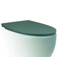 Крышка-сиденье для унитаза c микролифтом SoftClose AeT Dot 2.0 цвет зеленый мох матовый