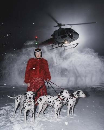 Похищение 101 далматинец