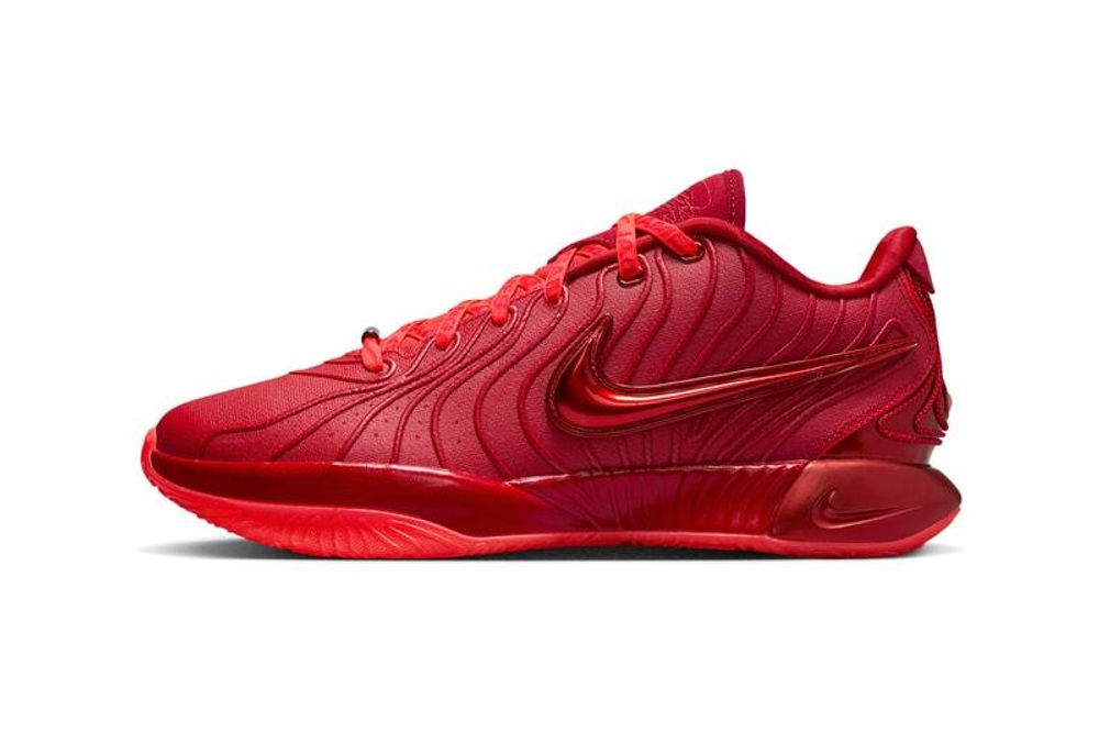 Купить Nike LeBron 21 James Gang