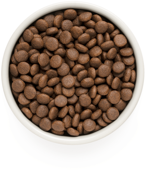 Grandorf Dog junior medium & maxi корм сухой для щенков средних и крупных пород ягнёнок с индейкой