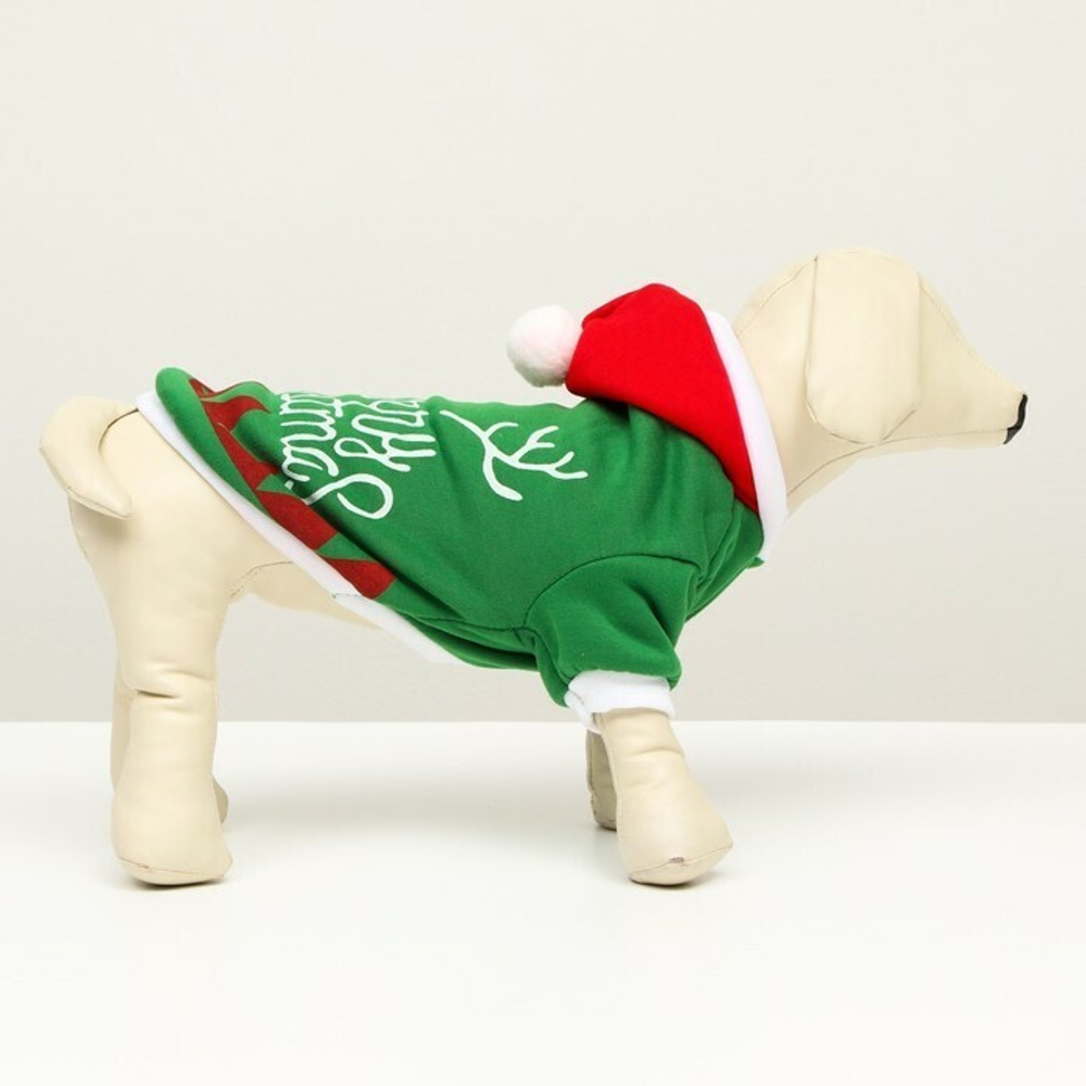 Толстовка Merry Christmas XS, ДС 16 см; ОГ 27 см