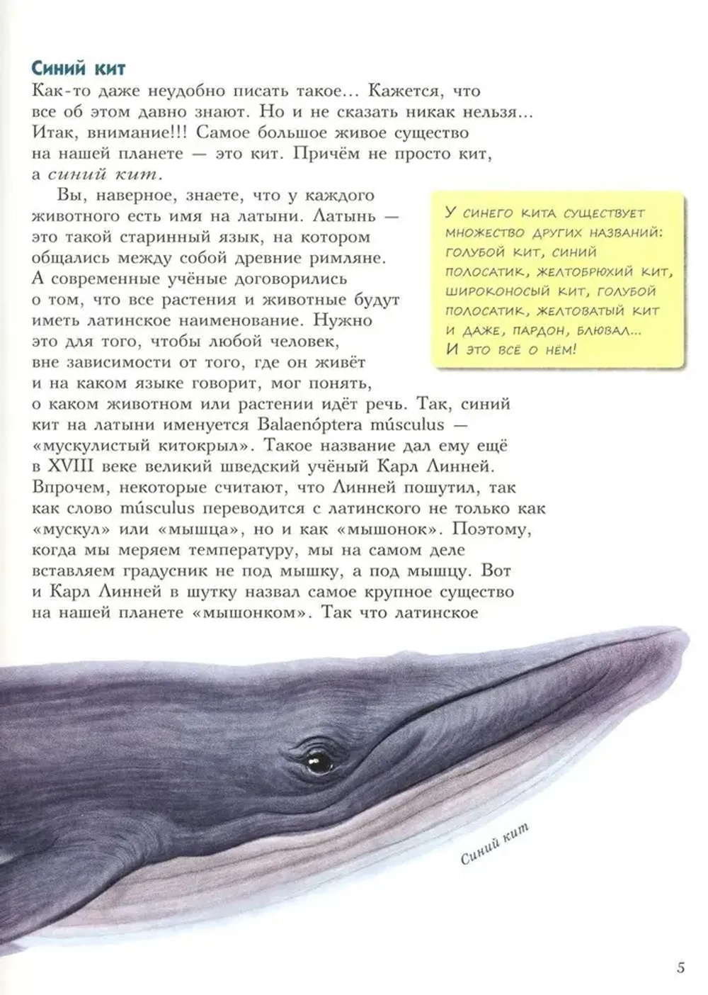 Самые-самые: Животные-рекордсмены