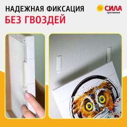 Застежки СИЛА SHS-P20L-W4 L большие с технологией бесследного удаления 4 пары нагрузка на 1 пару 2 кг