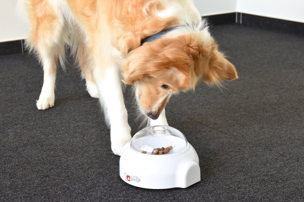 Развивающая игрушка для собак POPUP, 20 см Д х 18 см Ш х 11 см В, белый, Flamingo