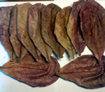 Лист индийского миндаля (Terminalia catappa) 10 листов