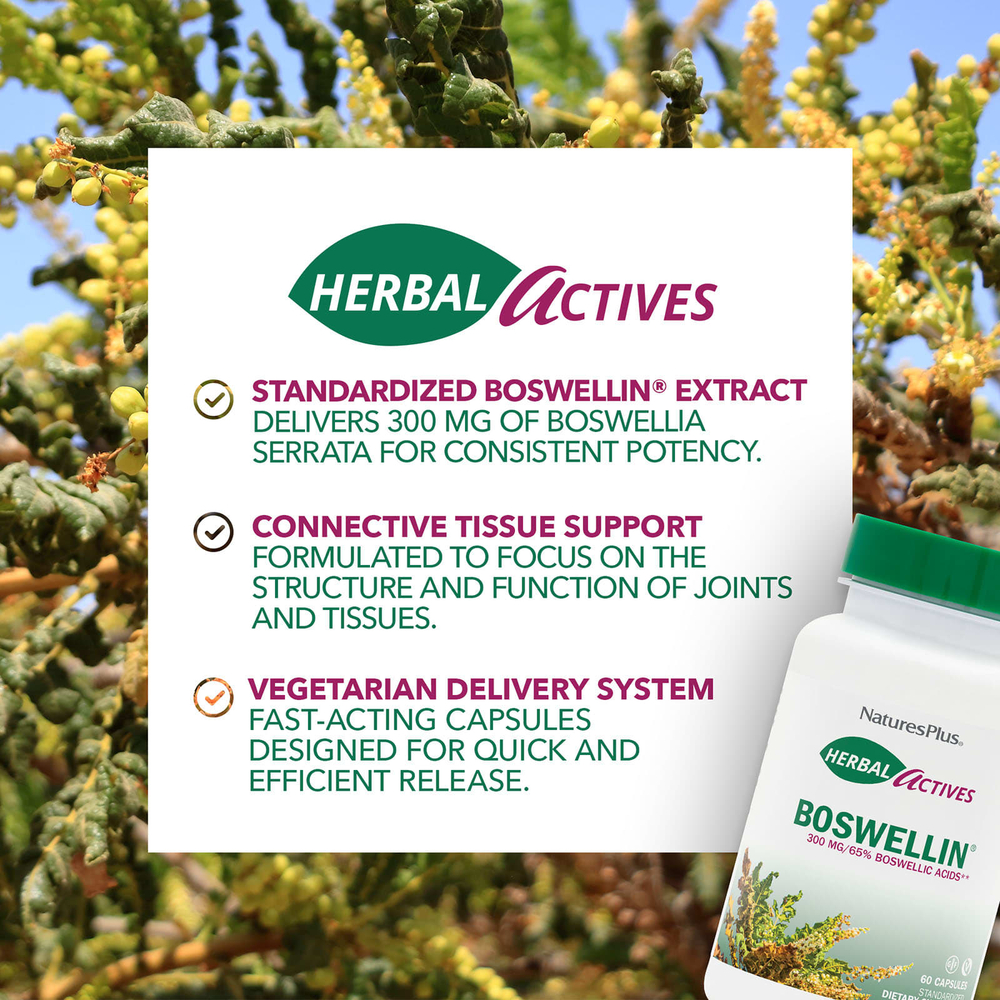 NaturesPlus, Herbal Actives, Boswellin®, 300 мг, 60 капсул