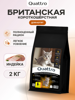 Корм сухой для котят породы Британская короткошёрстная, с индейкой, 2кг, QUATTRO