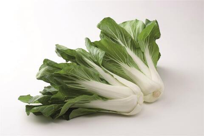 Бопак F1 семена китайской капусты Пак-чой (Bejo / Бейо)