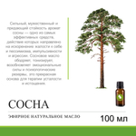 Эфирное масло сосны / Pinus Silvestris Oil