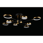 Потолочная светодиодная люстра Aployt Ines APL.043.07.65