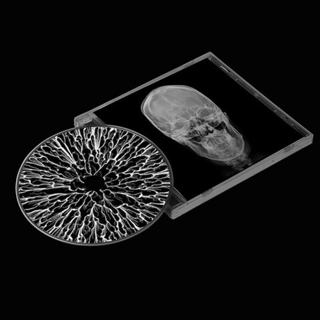 Альбом Coogie - UPSET