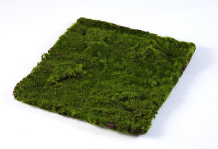 Мох Квадратный 30х30 см 6/24 30.0610017