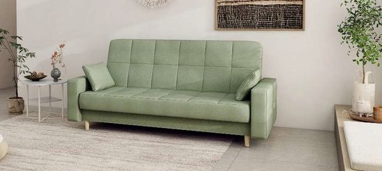 Ньютон киви