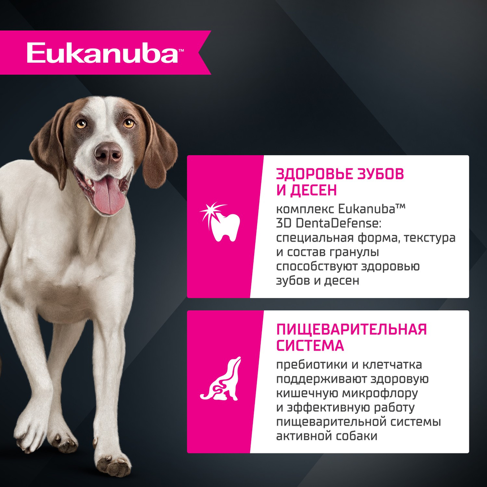Сухой корм Eukanuba для взрослых собак крупных и очень крупных пород старше 1 года с ягненком 3 кг