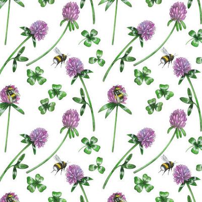 Цветы клевера, шмели