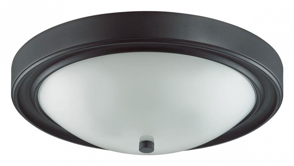 Накладной светильник Lumion 5260/3C