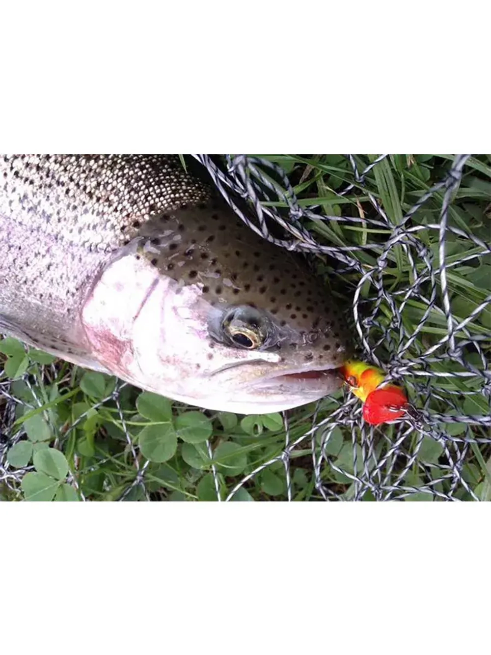 Воблер Минноу на щуку троллинга ТВИН 135mm на окуня