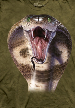 Cobra