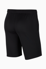 Шорты Nike Dri-Fit Park 20