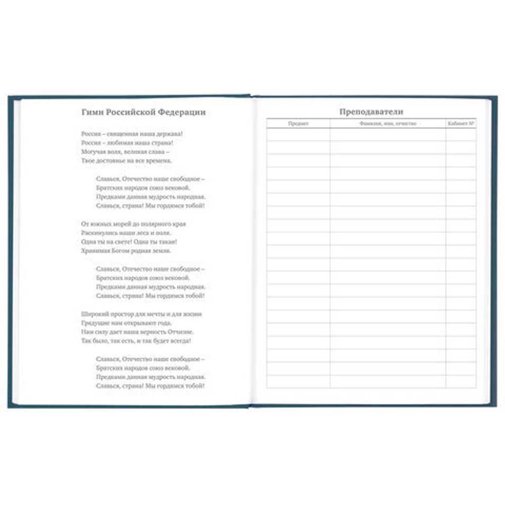 Дневник 5-11 класс 48 л., твердый, BRAUBERG, выборочный лак, с подсказом, "Stylish", 106409
