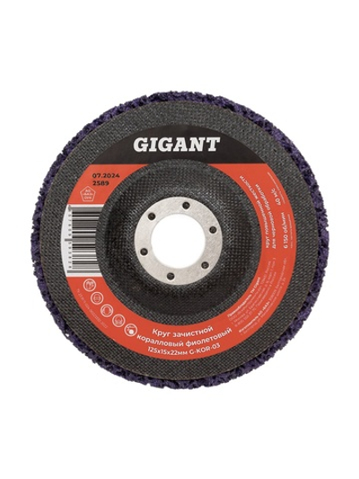 Диск абразивный коралловый фиолетовый 125х22 мм Gigant G-KOR-03