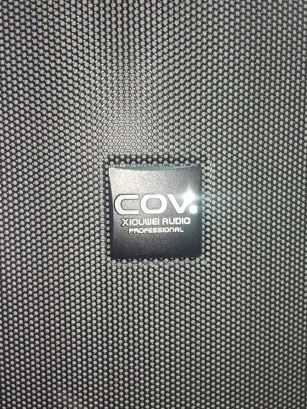 Напольная колонка COV CV-510 (100W/FM/USB/BT) караоке