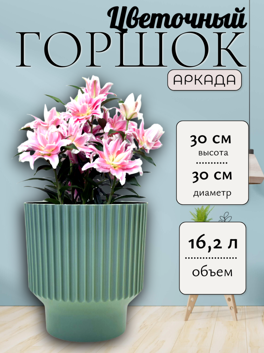 аркаданефр