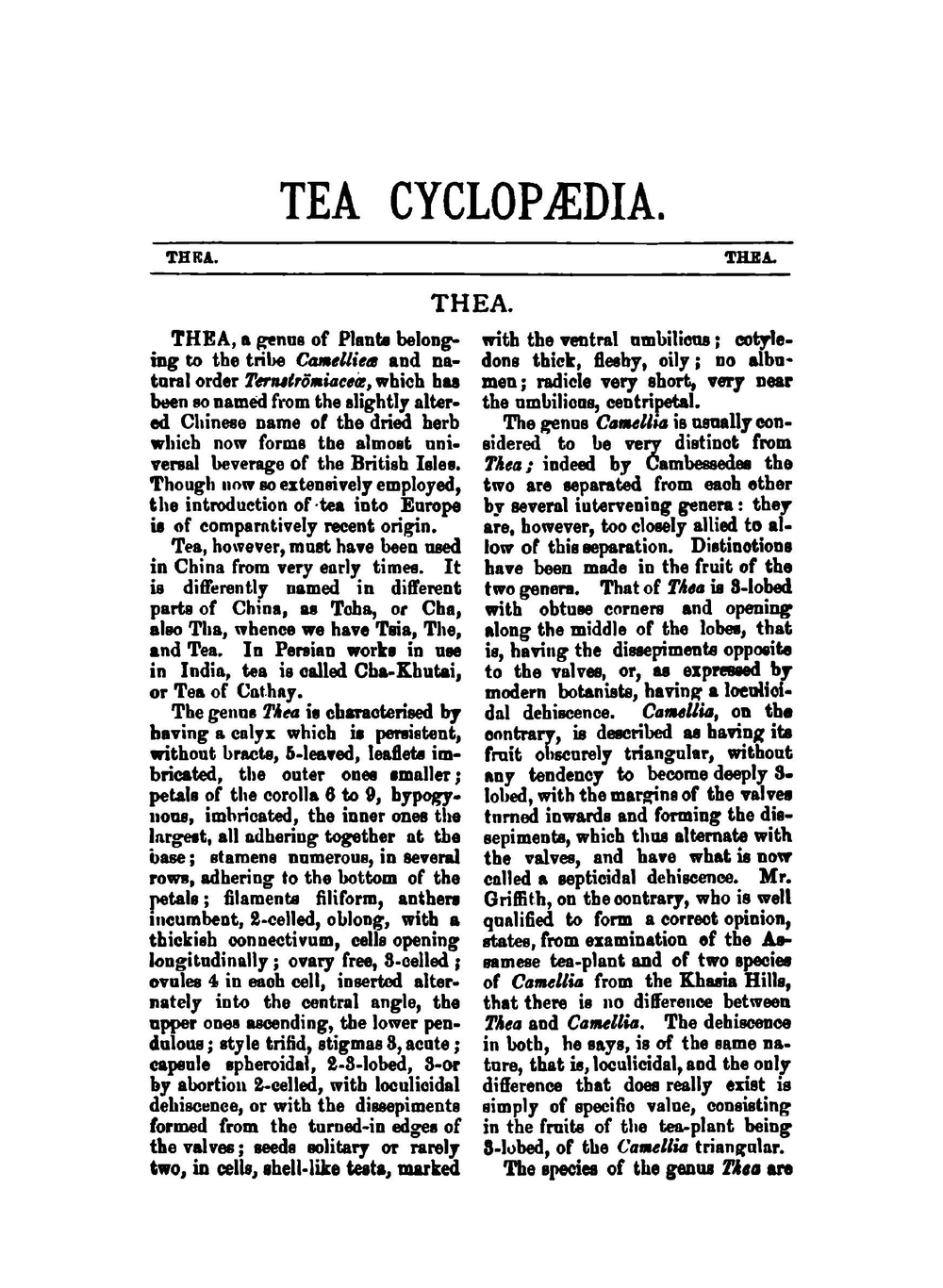 The tea cyclopaedia. Articles on tea, tea science | Indian Tea Gagette