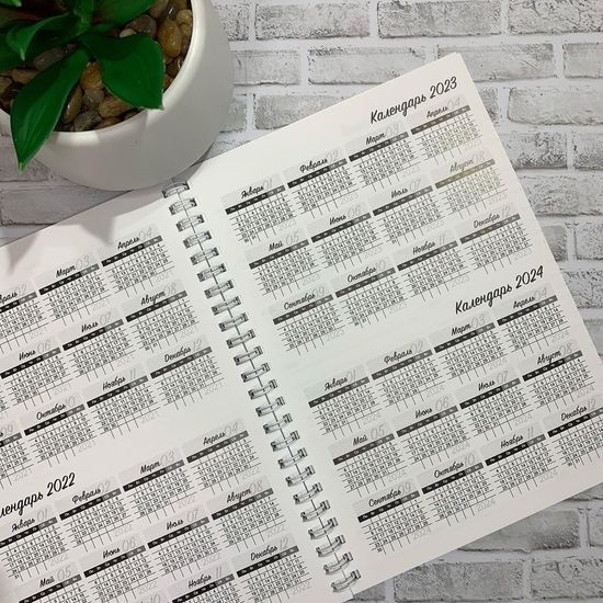 Планер для бьюти мастера №4.4 в комплекте 2 шт.