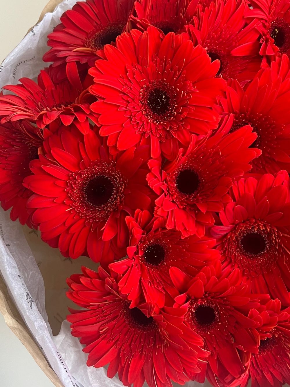 Букет из гербер в красном оттенке 25 шт