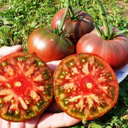 Чёрная Комната