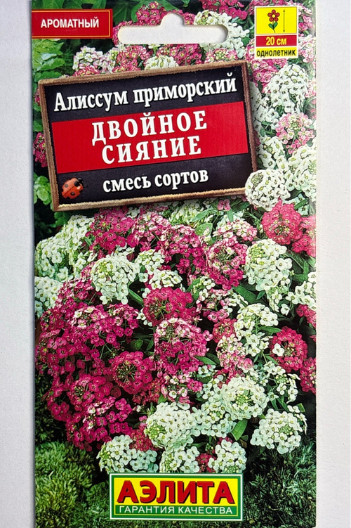 Алиссум Двойное сияние, смесь сортов СМЦ-677