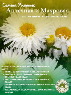 Набор семян Ромашек, 2 упаковки