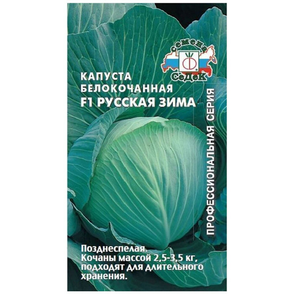 Капуста бк Русская зима 0,1г позднеспелая Ц СеДеК