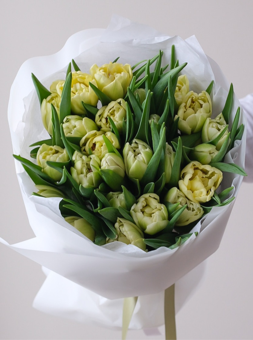 Моно из 25 пионовидных тюльпанов Авангард