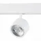 ST353.536.06 Магнитный трековый светильник белый LED 1*6W 3000K 560Lm Ra>80 36° IP20 L120xW81xH138 4 СКАЙЛАЙН 48V
