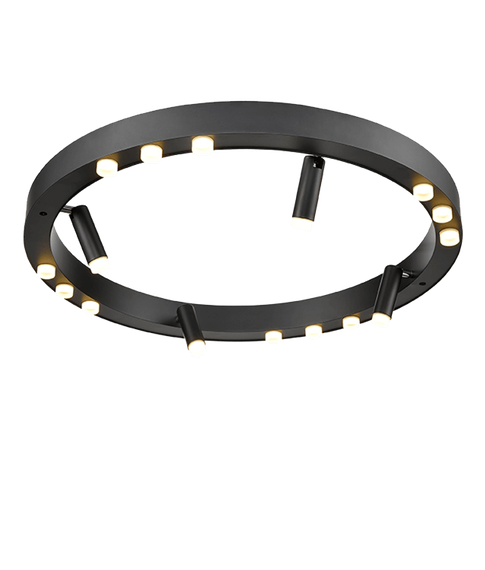 Потолочный светильник Vele Luce Satellite VL7172L12